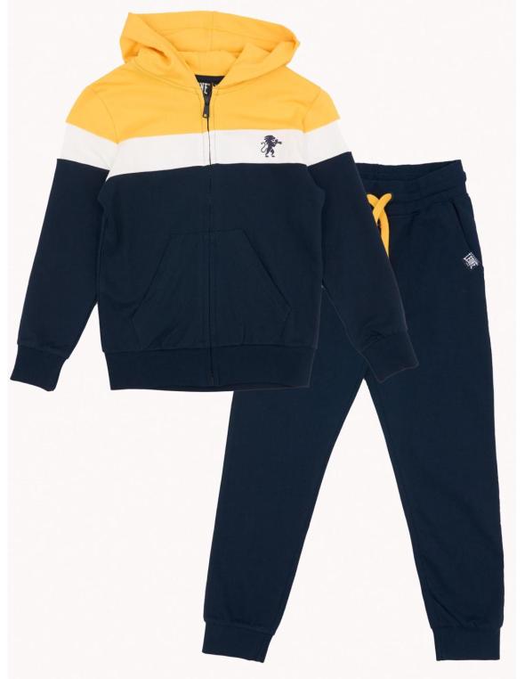 Timeless Lion Zip-Up Hoodie...