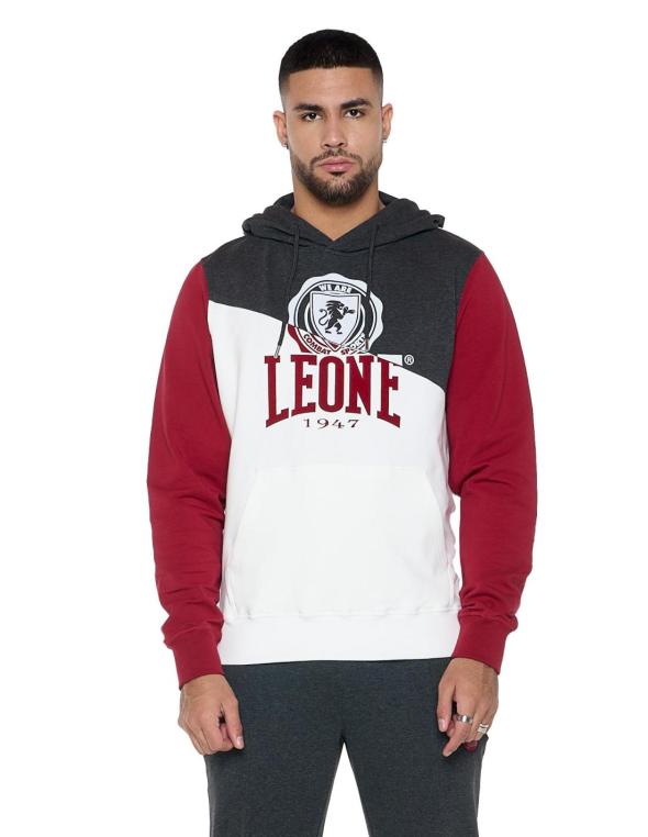Man hoody Varsity