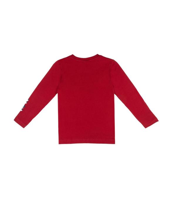 Boy t-shirt long sleeves... 2