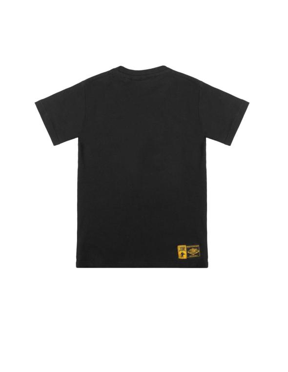 Boy t-shirt short sleeves... 2
