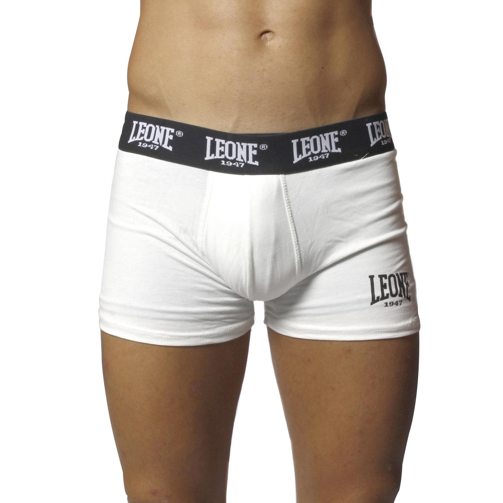 Boxer marca 2025 leo